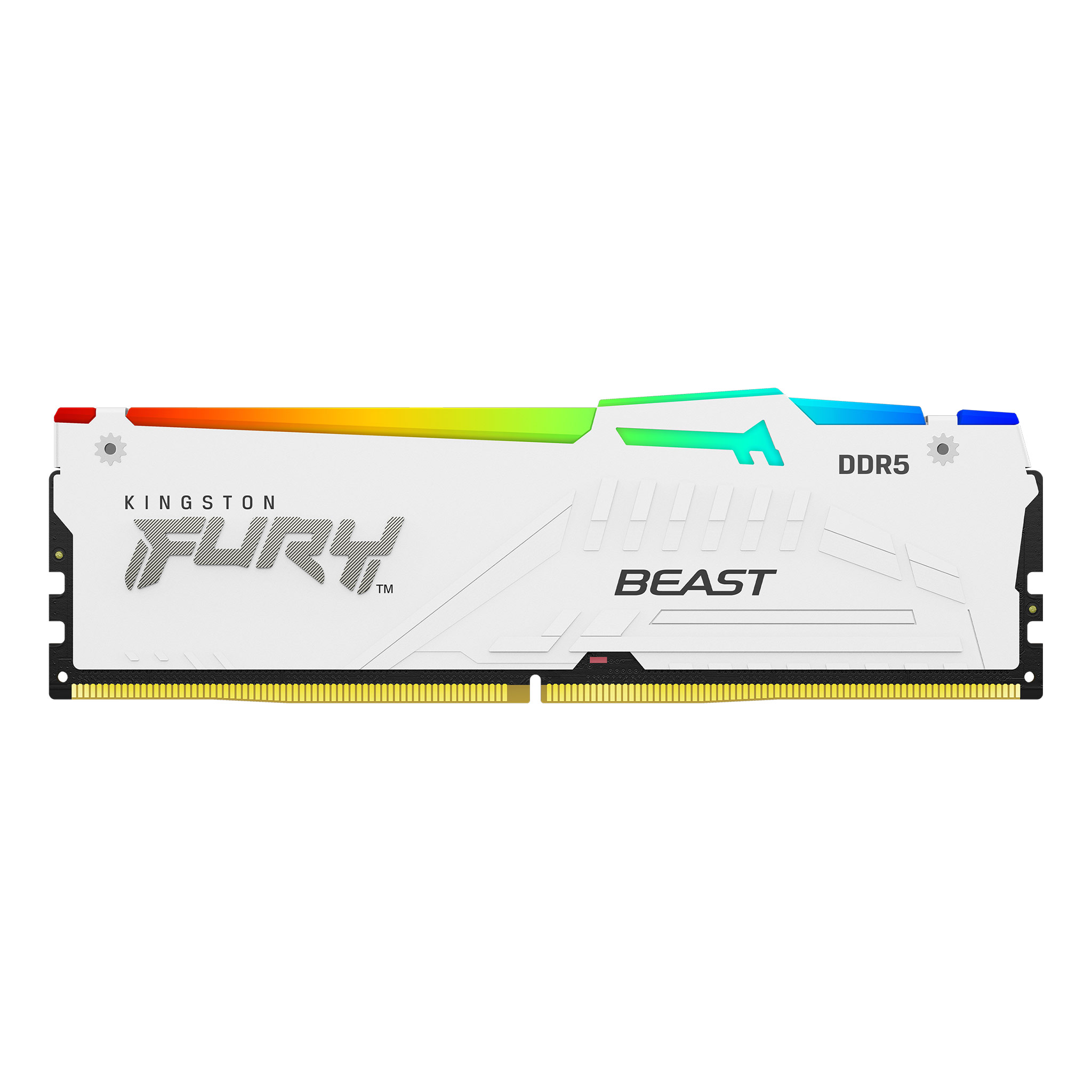FURY BEAST RGB XMP 32G(16G*2) 5600 DDR5 CL40 WHITE