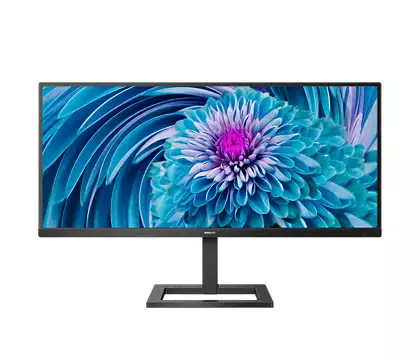 292E2E 29" MONITOR